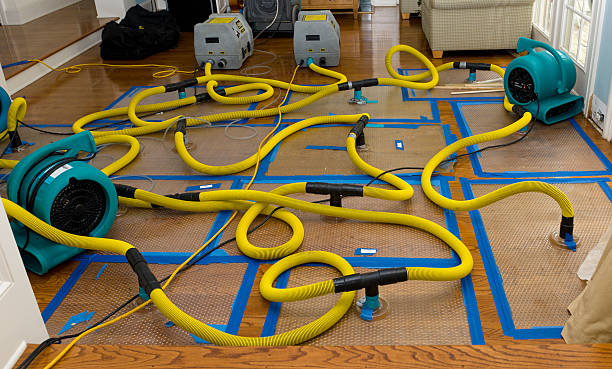 Professional Basement Flood Cleanup technician working in Hartland, MN